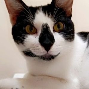 Meet your Posher, Jihan